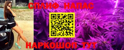 СК Краснодар