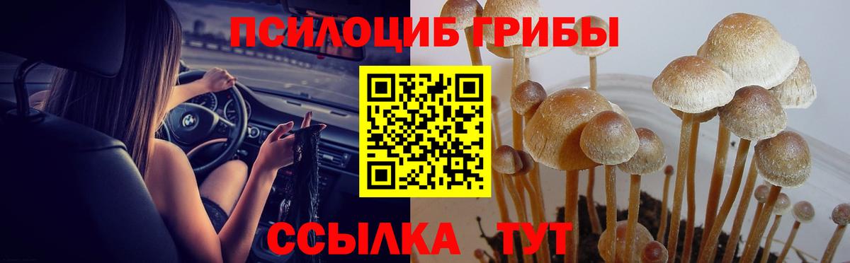 Галлюциногенные грибы GOLDEN TEACHER  Симферополь 